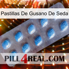 Silkworm Pills viagra3